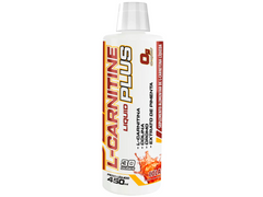 L-CARNITINA PLUS 450ML - ADAPTOGEN