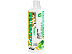 L-CARNITINA PLUS 450ML - ADAPTOGEN